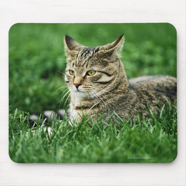 Cat lying in grass mouse mat (Front)