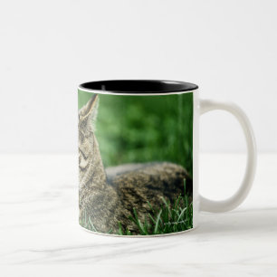Cat lying in grass Two-Tone coffee mug