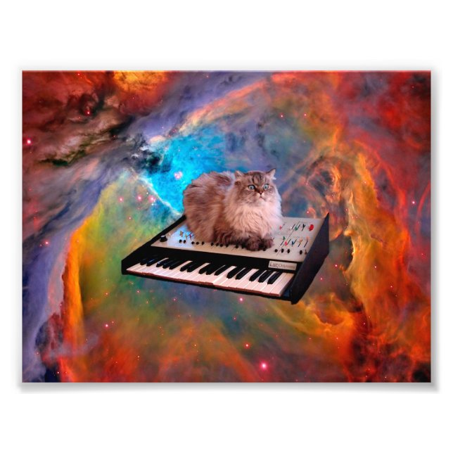 Cat lying on a keyboard in the space photo print (Front)