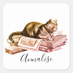 Cat Lying On A Stack Of Books Square Sticker