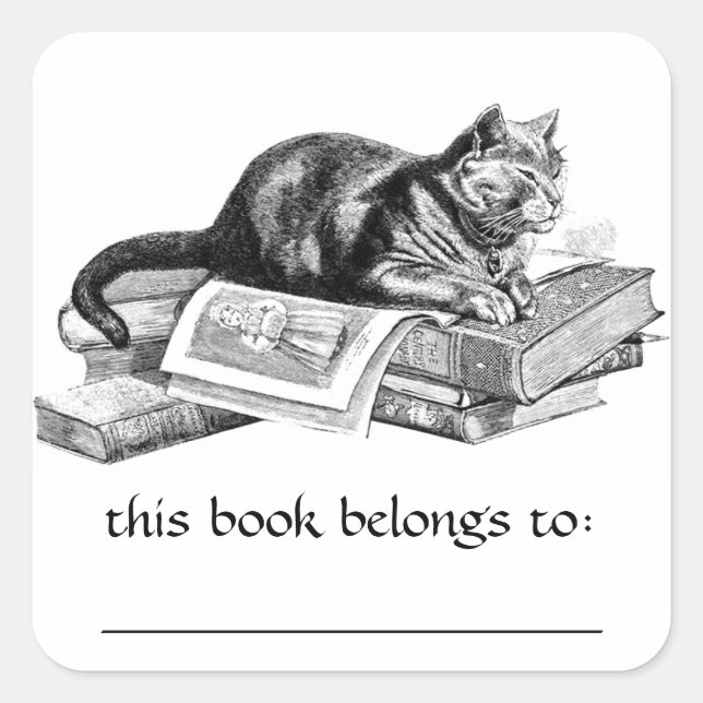 Cat Lying On Books Bookplate Stickers (Front)