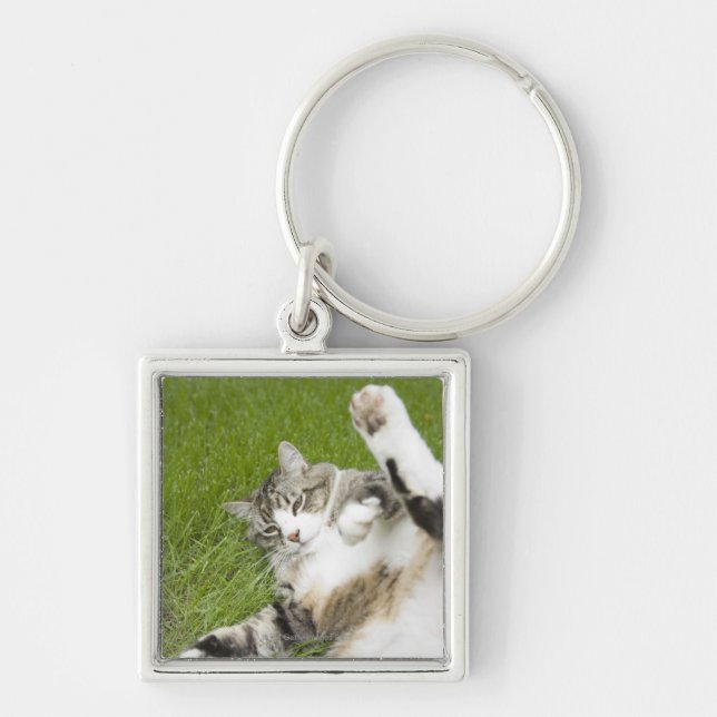 Cat lying on grass, close-up key ring (Front)