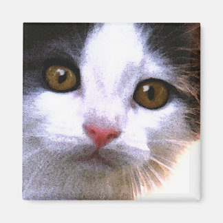 Cat Magnet
