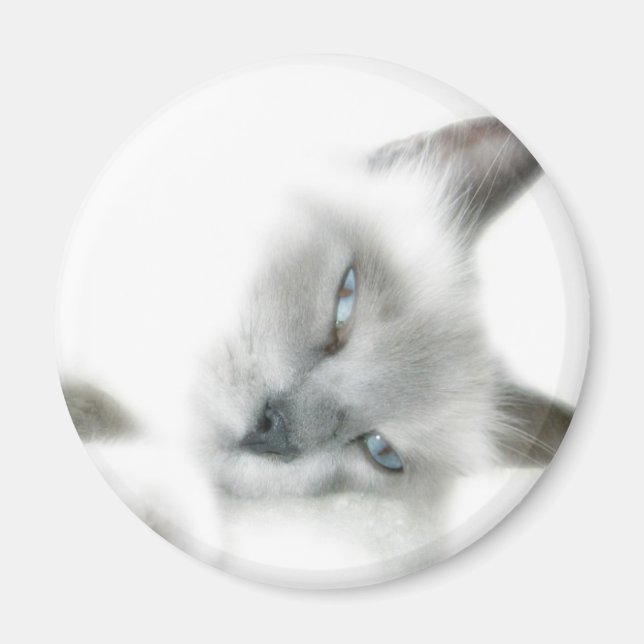 Cat Magnet (Front)