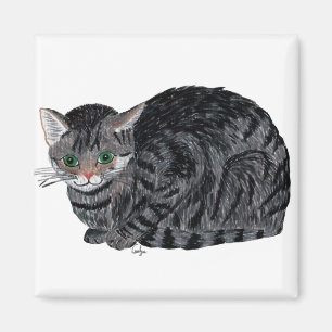 Cat magnet