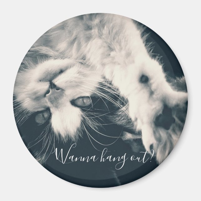 Cat magnet - want to hang out? (Front)