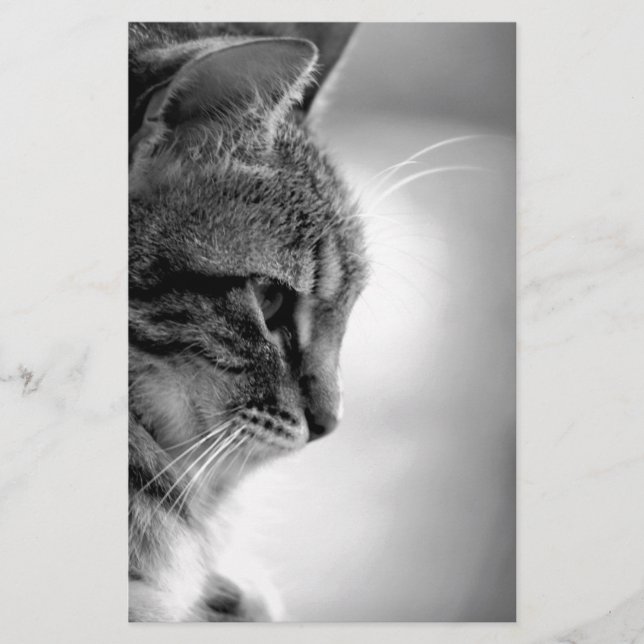 Cat Meditating Black and White Stationery (Front)