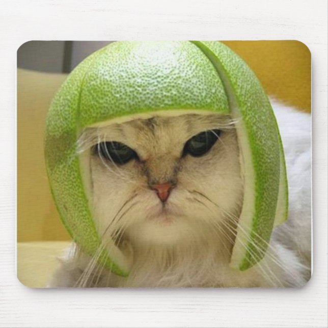 Cat Melon Mouse Mat (Front)