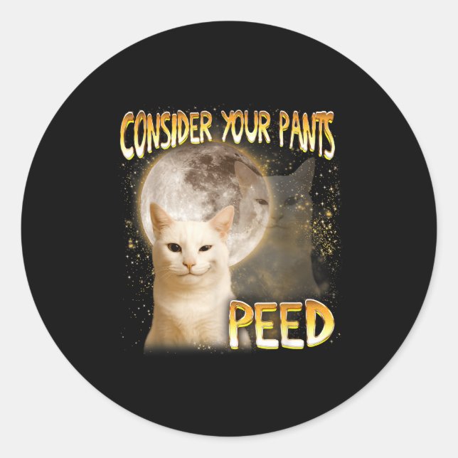 Cat Meme Cat Lover Cat Mom Funny Consider Your Pan Classic Round Sticker (Front)