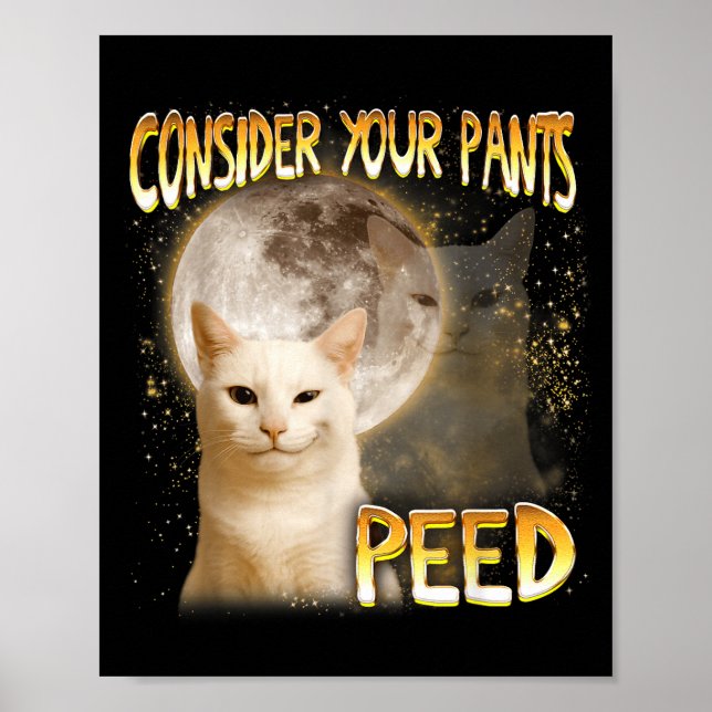 Cat Meme Cat Lover Cat Mom Funny Consider Your Pan Poster (Front)