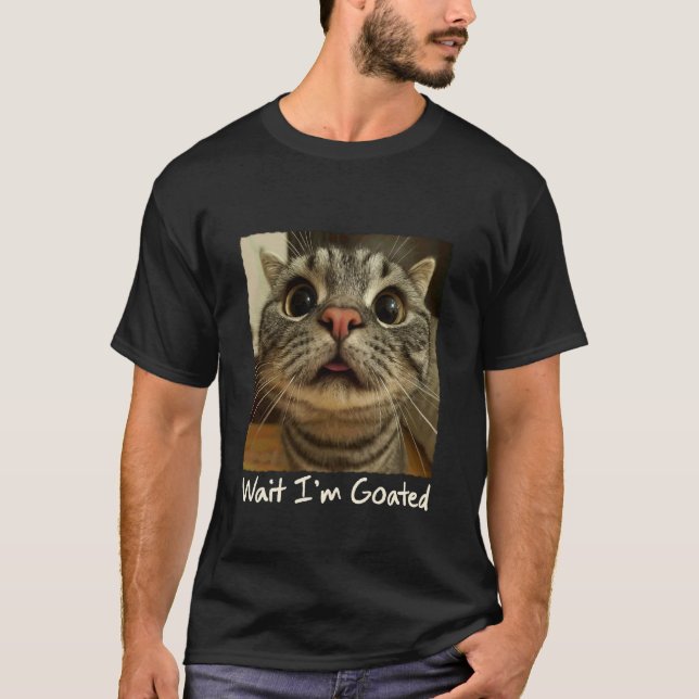 Cat Meme Cat Lover Cat Person Funny Weircode Wait  T-Shirt (Front)
