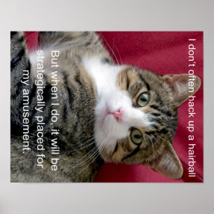 Cat Meme Poster