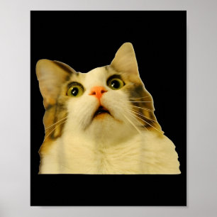 Cat Meme Shock Cat Face Funny Meme Cat Silly Gift Poster