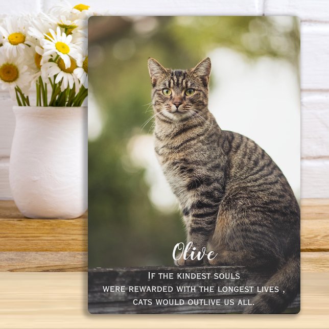 Cat Memorial Gift -Pet Loss Keepsake -Cat Sympathy Plaque (Creator Uploaded)