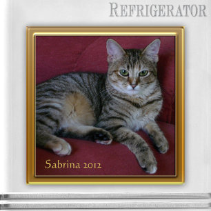 Cat Memorial Photo Frame Magnet