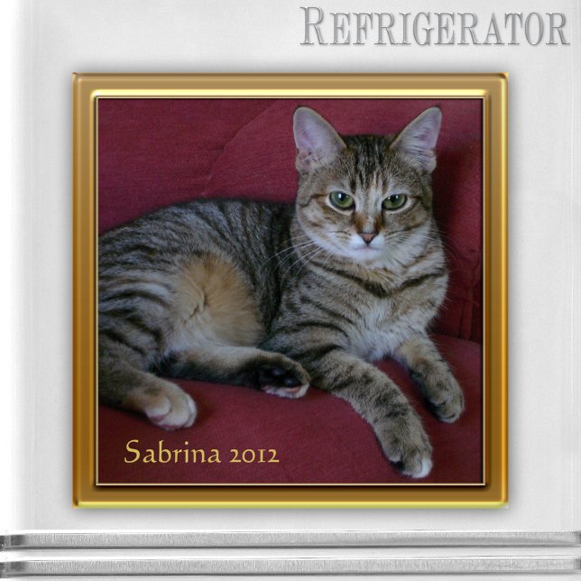 Cat Memorial Photo Frame Magnet (Keepsake photo frame magnet for a picture of your own choice - nice as cat memorial magnet)