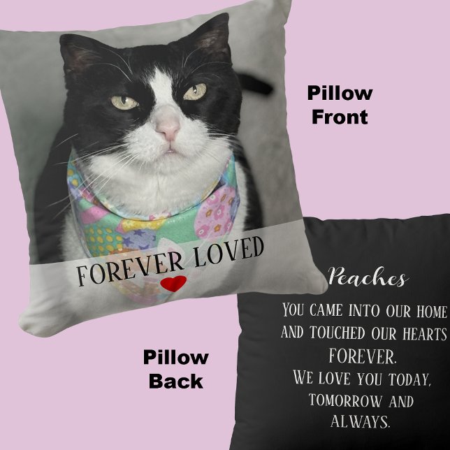 Cat Memorial Photo with Heartfelt Message on Back Cushion (Creator Uploaded)