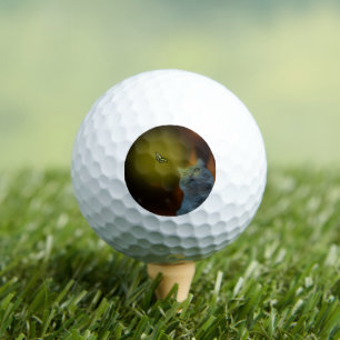 Cat Mesmerised By Butterfly, Golf Balls