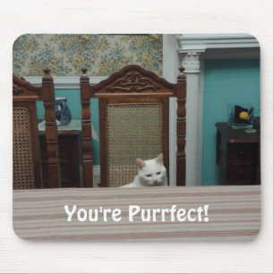 Cat message: "You're Purrfect!" Mouse Mat
