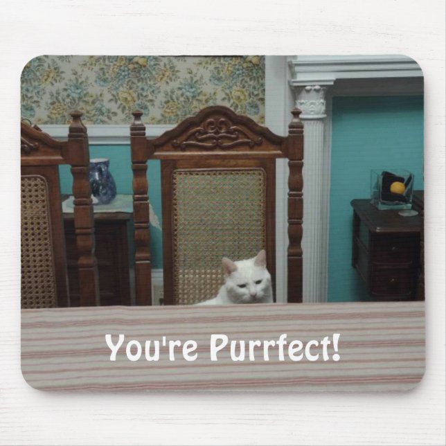 Cat message: "You're Purrfect!" Mouse Mat (Front)