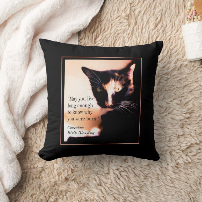 Cat Messenger Cushion (Blanket)