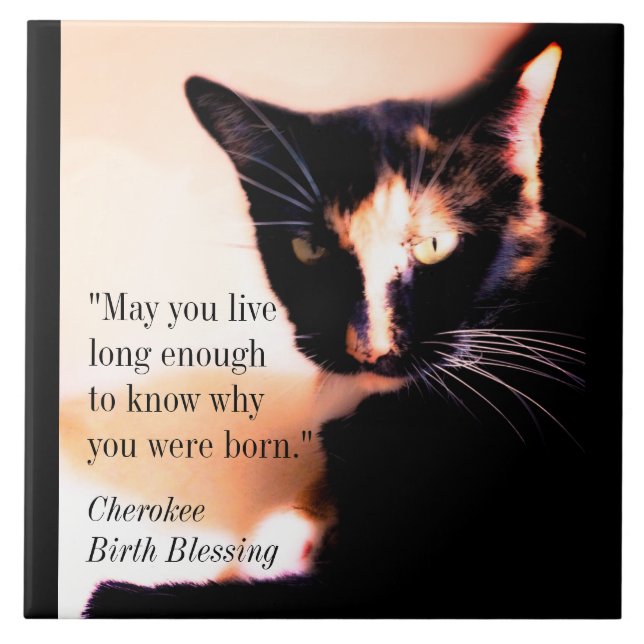 Cat Messenger Tile (Front)