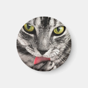 Cat Miau Magnet