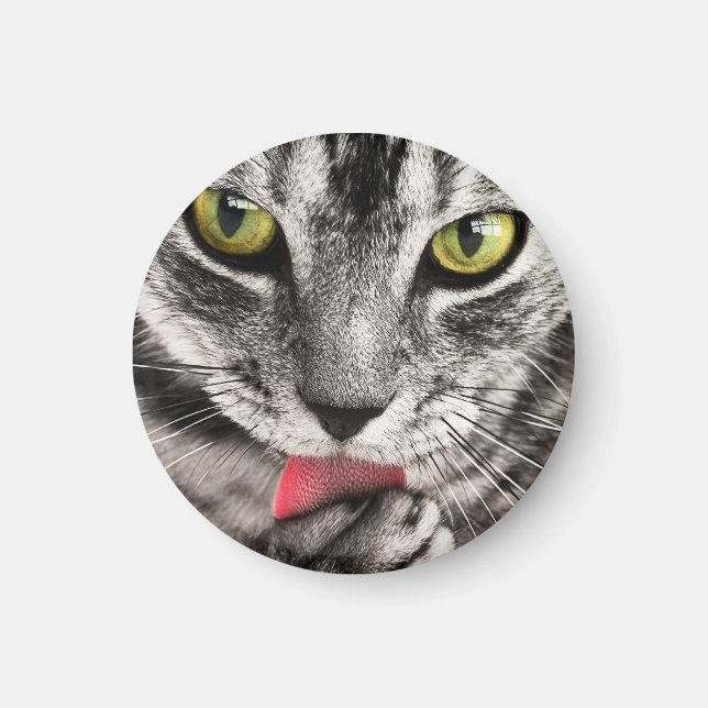 Cat Miau Magnet (Front)