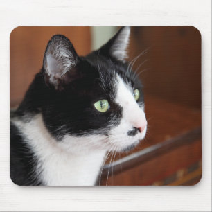 Cat Mouse Mat