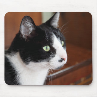 Cat Mouse Mat