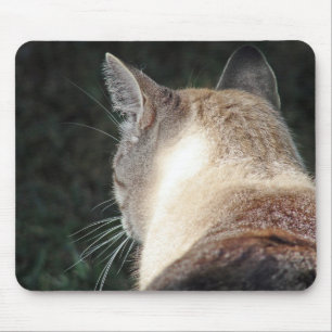 Cat Mouse Mat