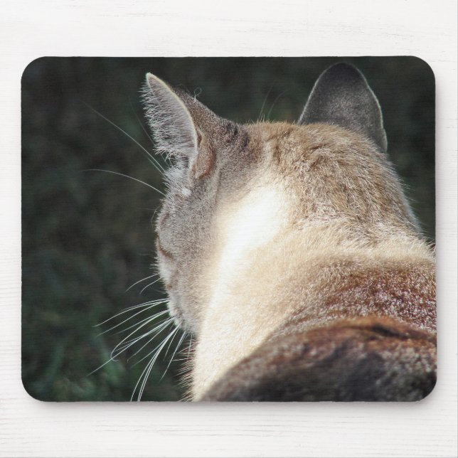 Cat Mouse Mat (Front)