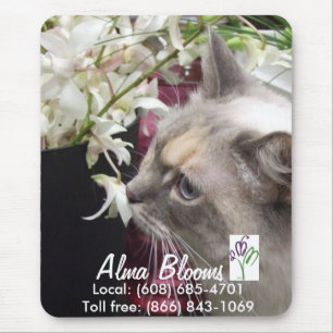 Cat Mouse Mat