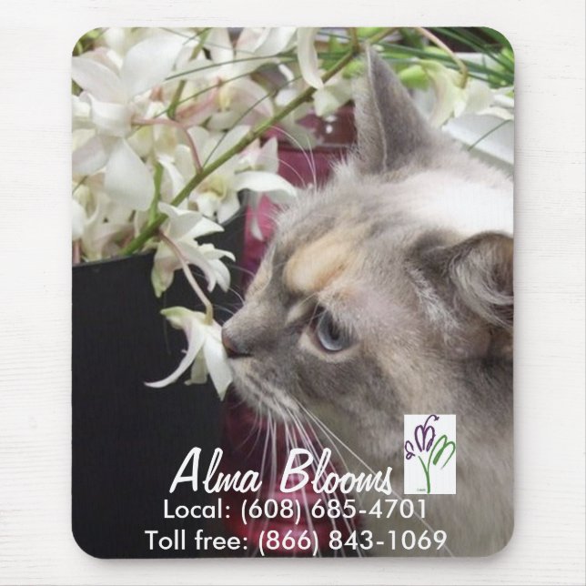 Cat Mouse Mat (Front)