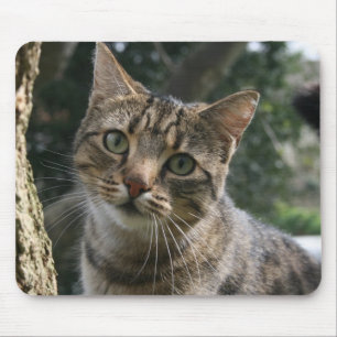 CAT MOUSE MAT
