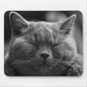 cat mouse mat