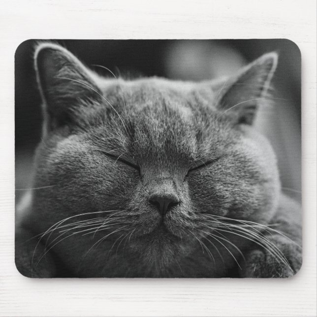 cat mouse mat (Front)