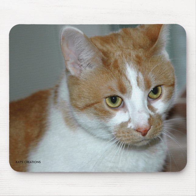 CAT MOUSE MAT (Front)