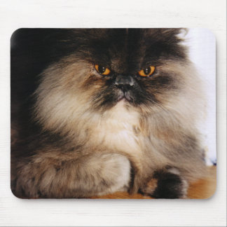 Cat Mouse Mat