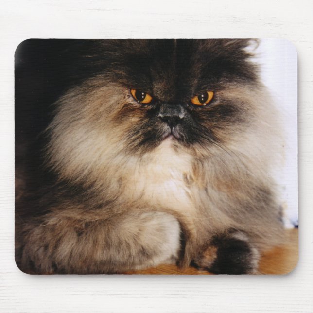 Cat Mouse Mat (Front)