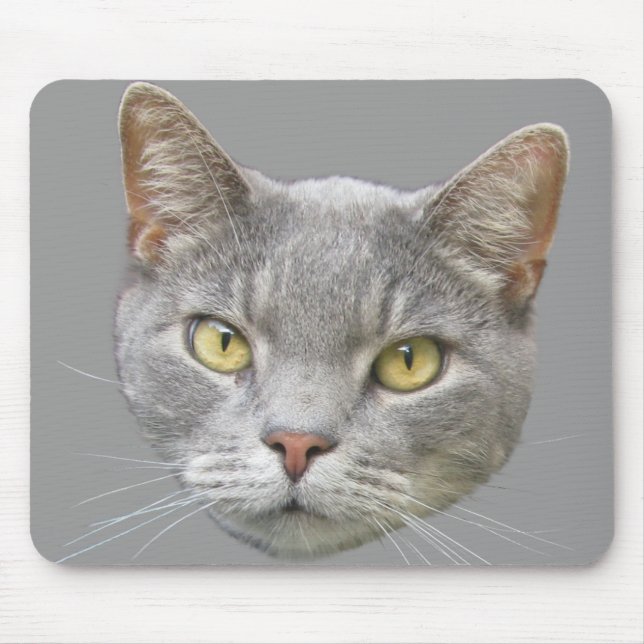 Cat Mouse Mat (Front)