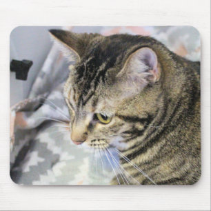 Cat Mouse Mat