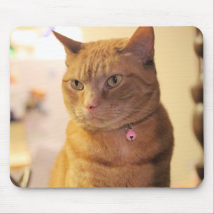 Cat Mouse Mat
