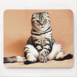 Cat Mouse Mat