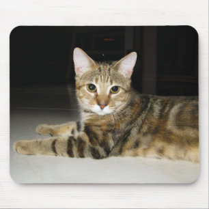 Cat Mouse Mat
