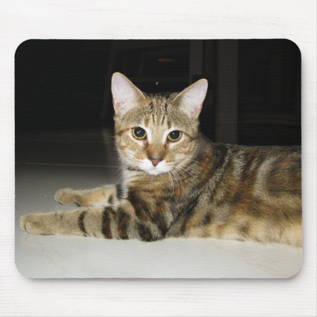 Cat Mouse Mat (Front)
