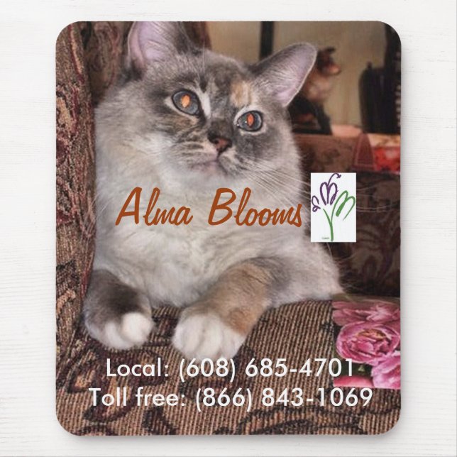 cat mouse mat (Front)