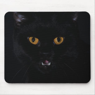 cat mouse mat