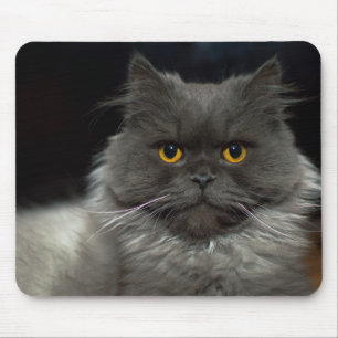 Cat Mouse Mat