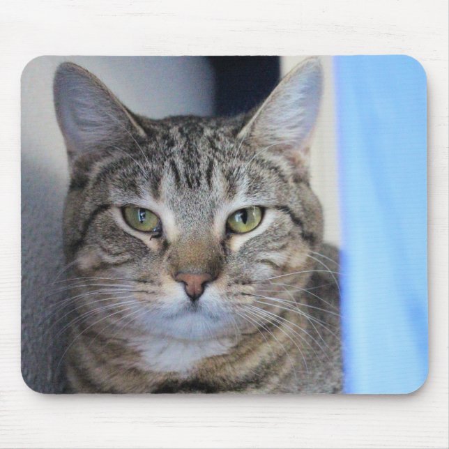 Cat Mouse Mat (Front)